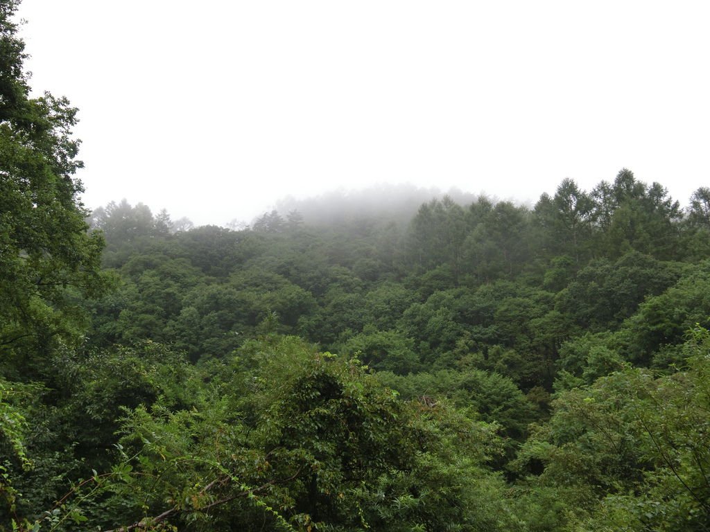 CIMG0351.JPG