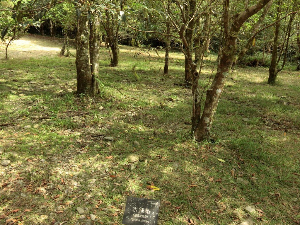 CIMG0762.JPG