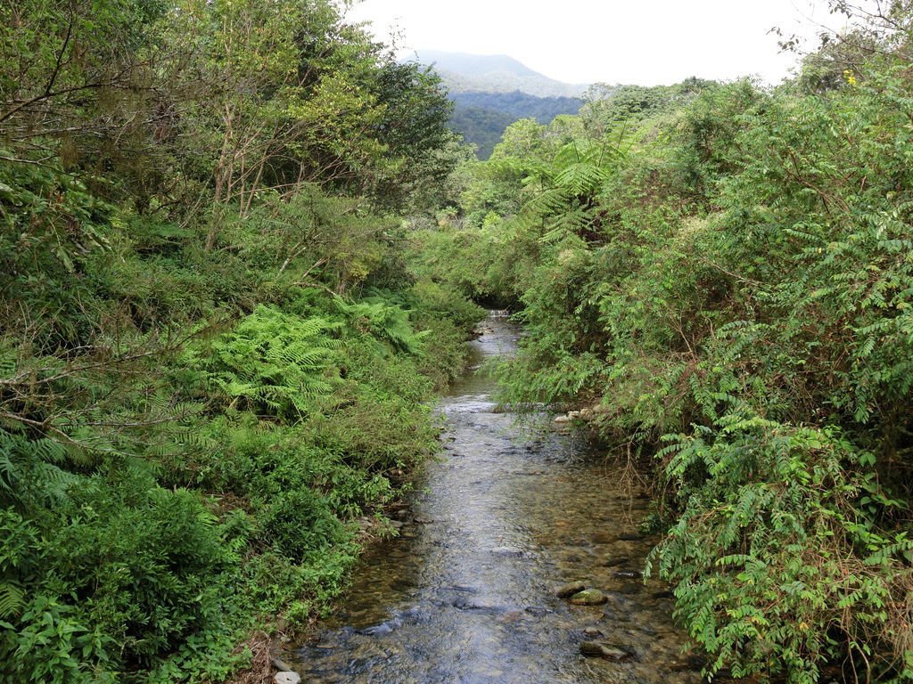 CIMG0814.JPG