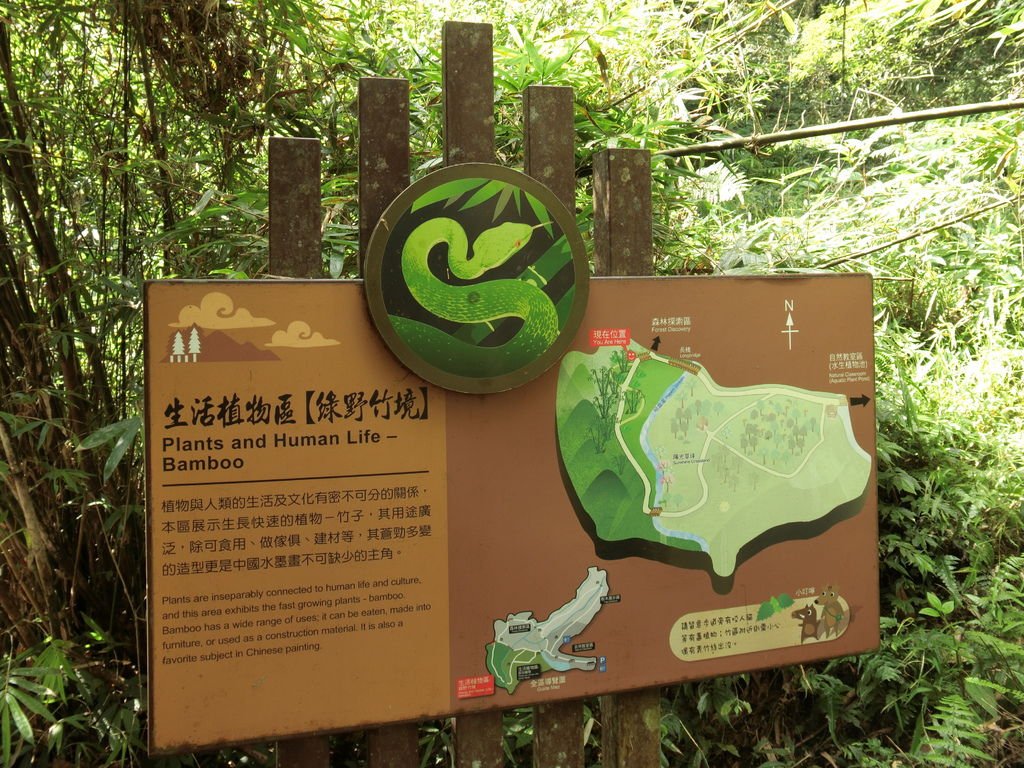 CIMG0824.JPG