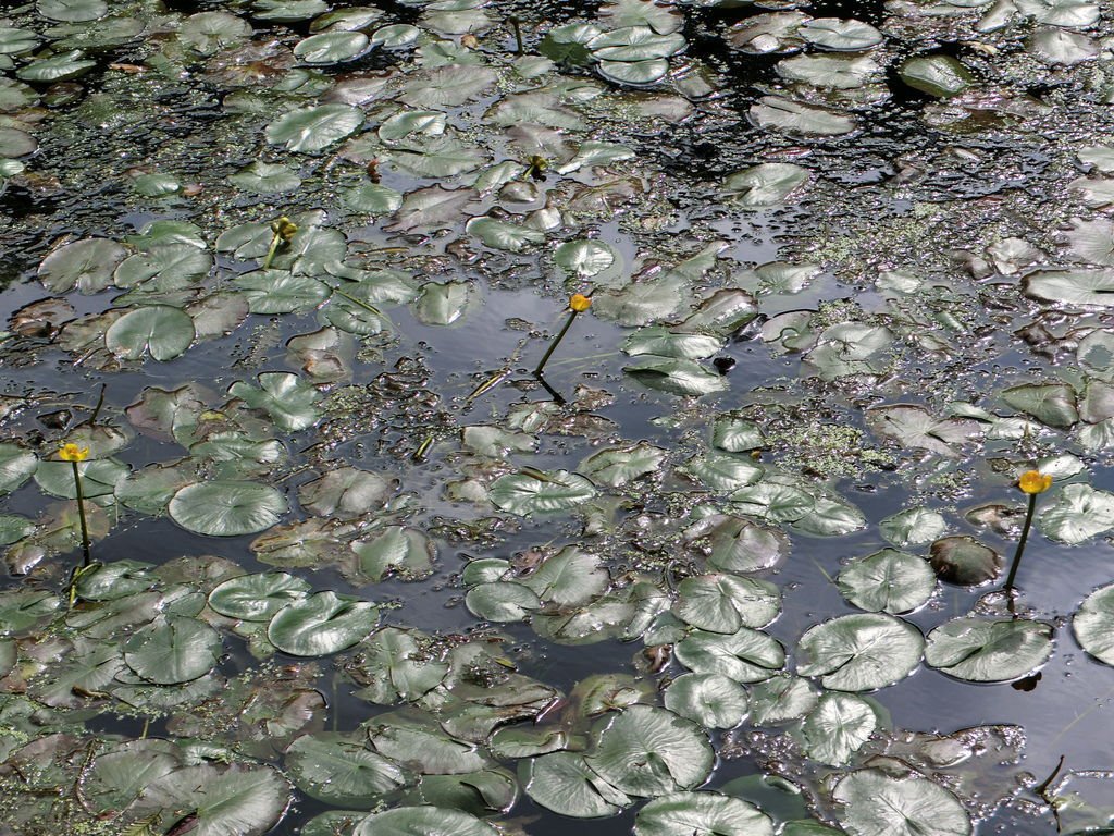 CIMG0833.JPG