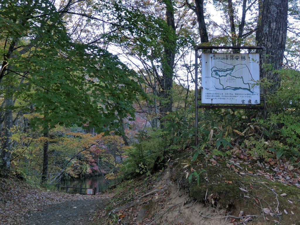 CIMG3287.JPG