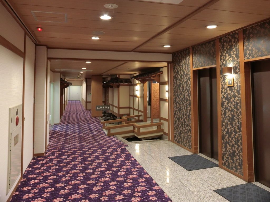 CIMG3336.JPG