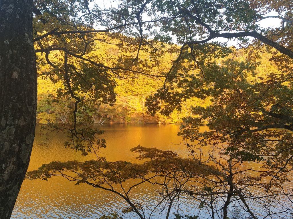 IMG_20191106_155646.jpg