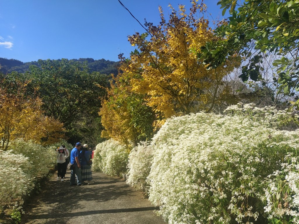 IMG_20201213_105434.jpg