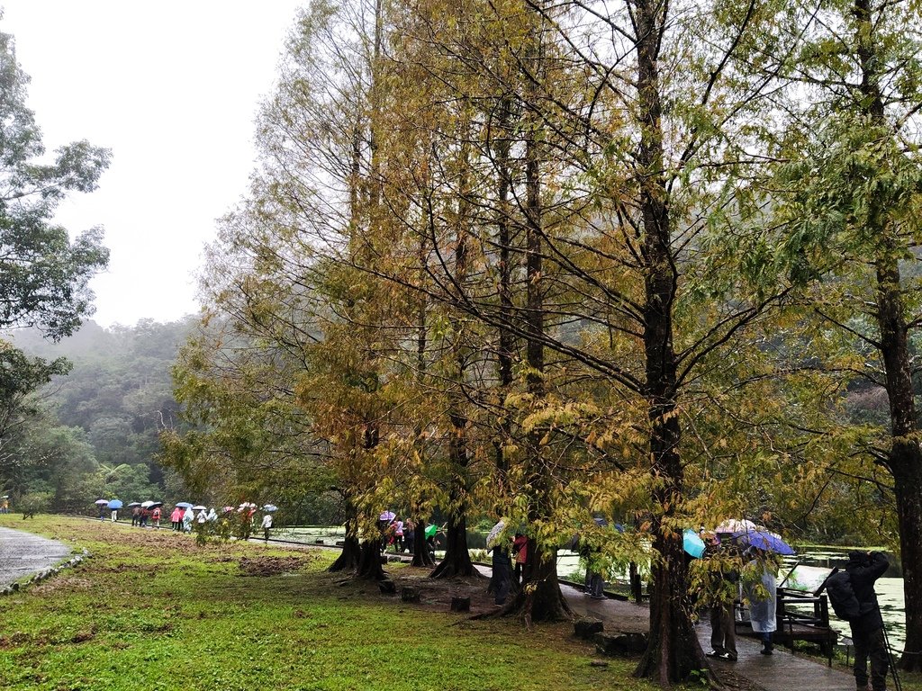 IMG_20201216_104916.jpg
