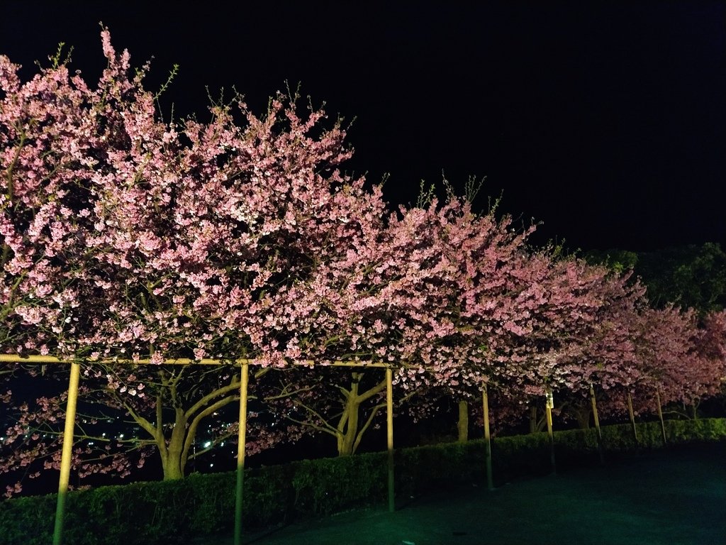 IMG_20210206_204630.jpg