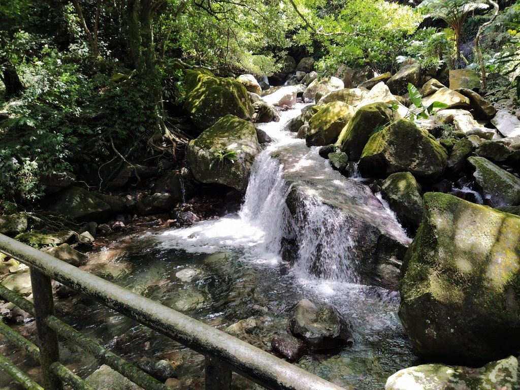 IMG_20210725_124018.jpg