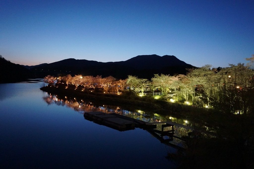 恵那峡　夜桜ライトアップ　