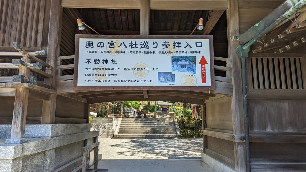PXL_20230409_032905170.jpg