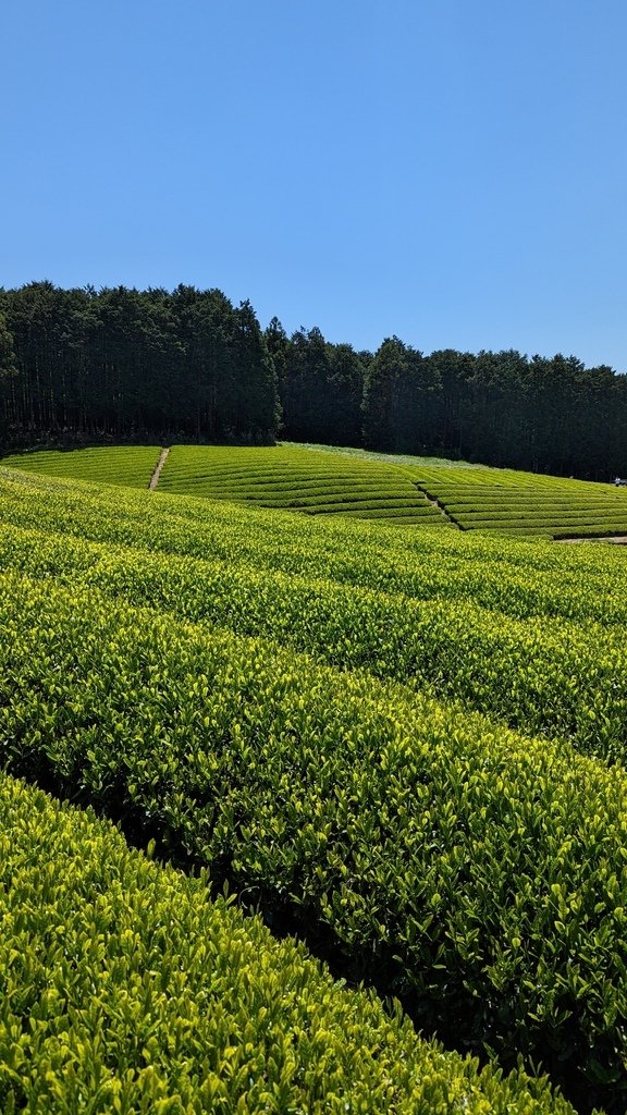 PXL_20230427_022222840.jpg