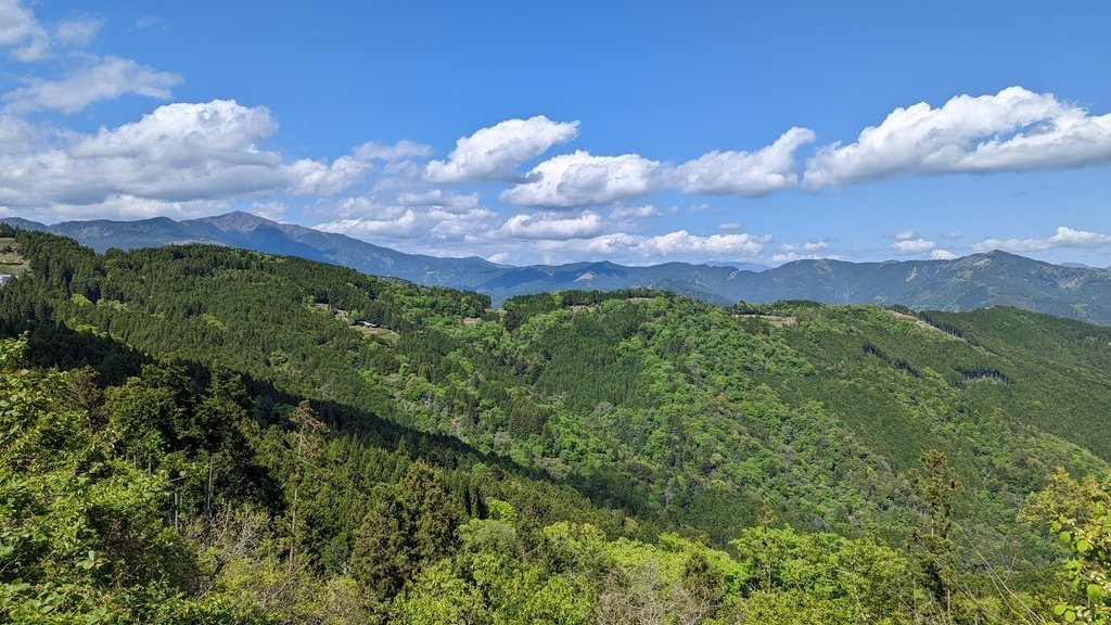 PXL_20230427_045734561.jpg