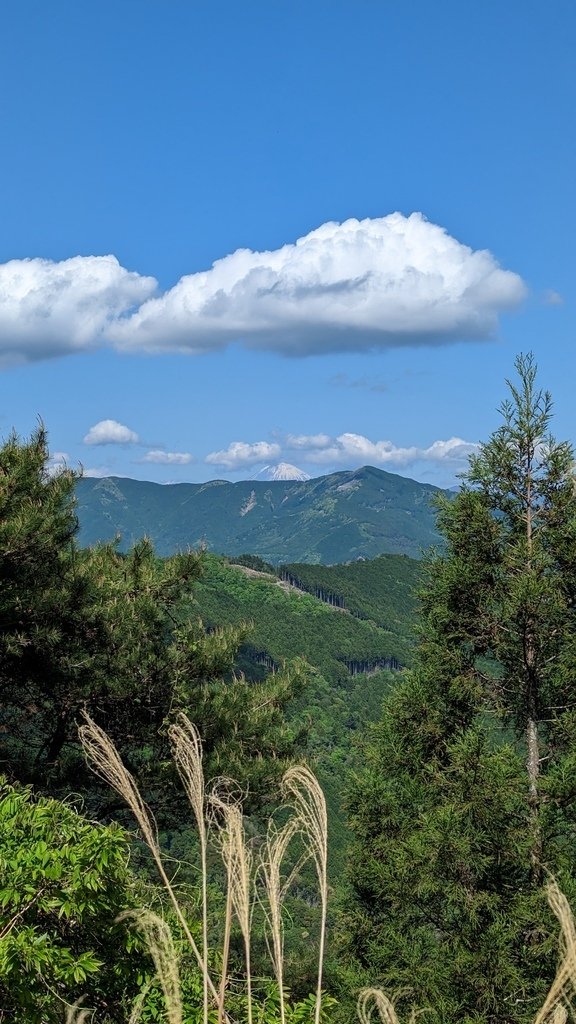 PXL_20230427_050519308.jpg