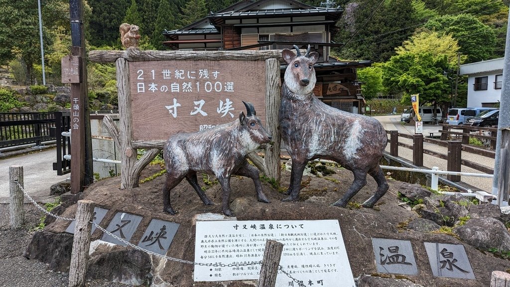 PXL_20230427_061303477.MP.jpg
