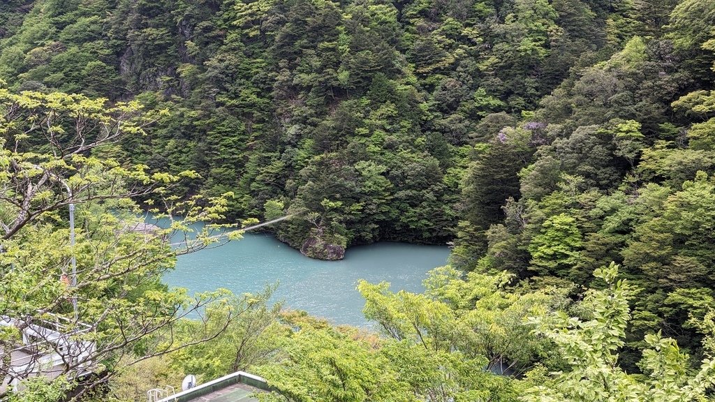 PXL_20230427_062956001.jpg