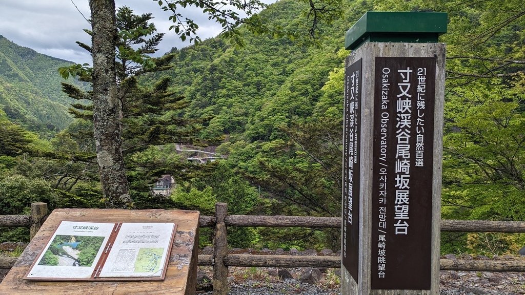 PXL_20230427_070134868.jpg