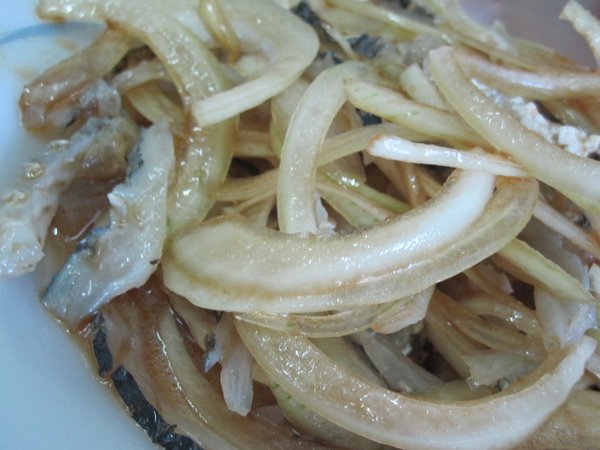 照片 008.jpg
