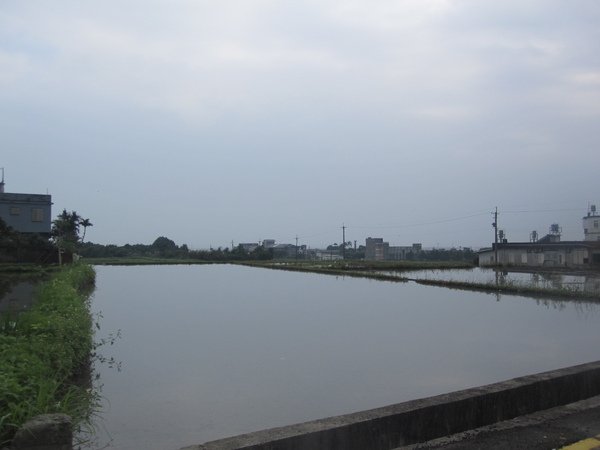 IMG_1307.JPG