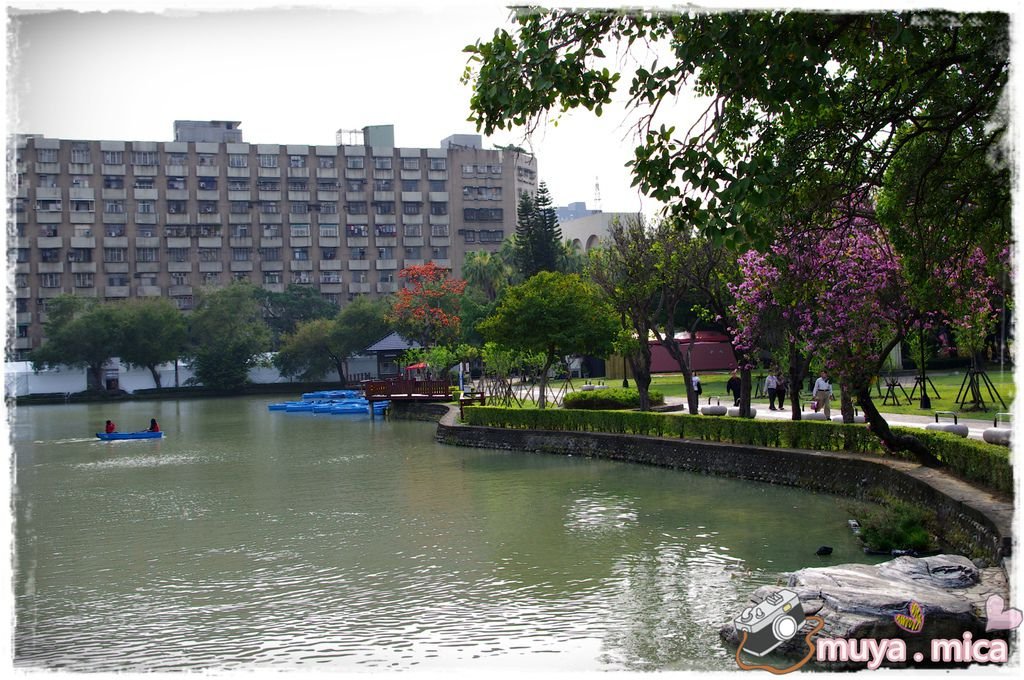 私奔台中IMGP7468