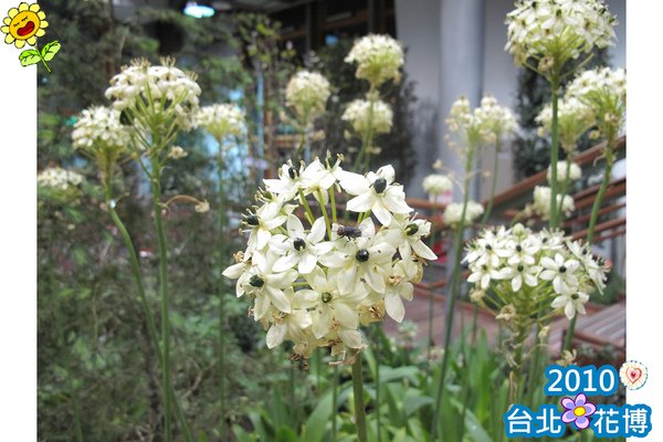 花博1-122.jpg