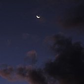 20110728-清境合歡行Day2-001.JPG