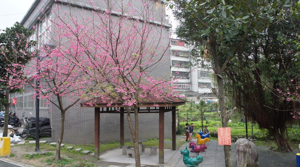 DSC03680.JPG