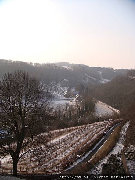 DSC02614