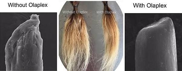 Olaplex+blog