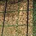 DSC06880.JPG