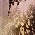 DSC06881.JPG