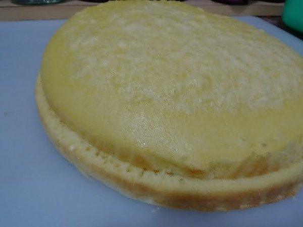 P1020037.JPG