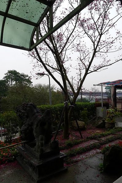 P1000186.JPG