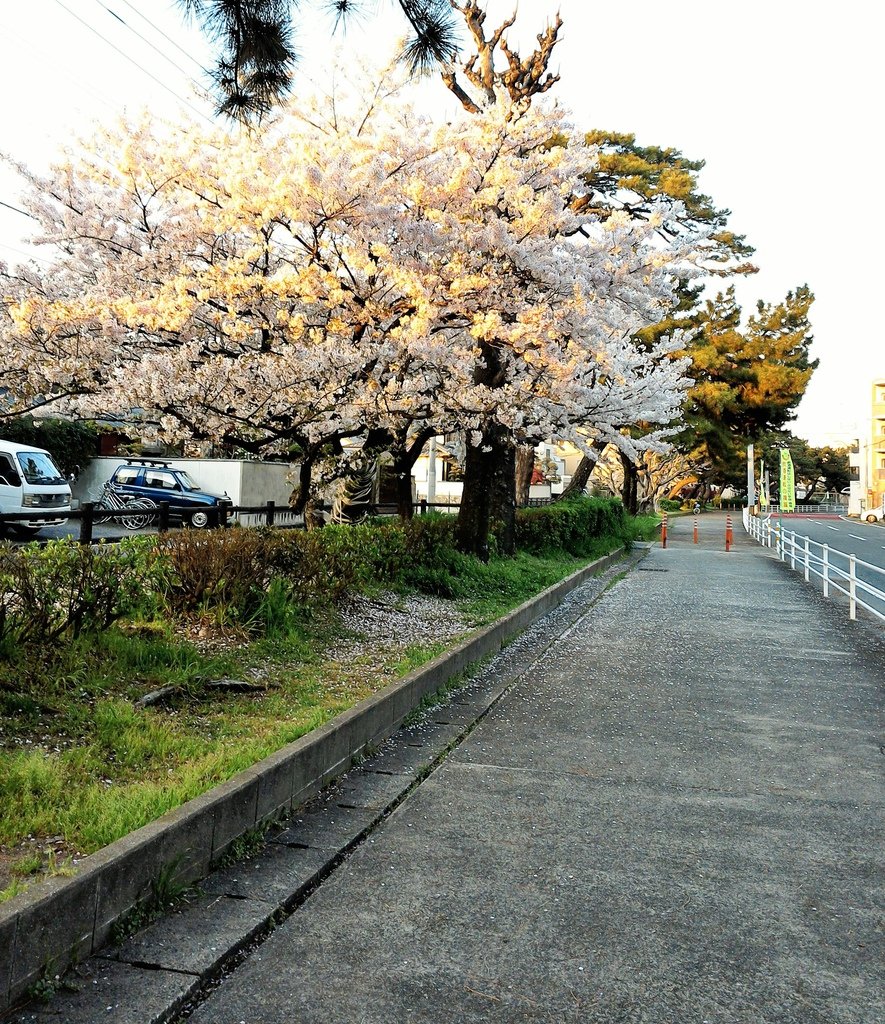 WIN_20140402_180457 (2)