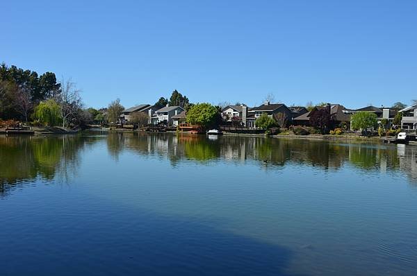 0327AlamedaShore3.jpg