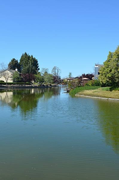 0327AlamedaShore7.jpg