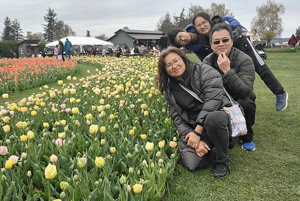 鬱金香節 @ Skagit Valley (下)