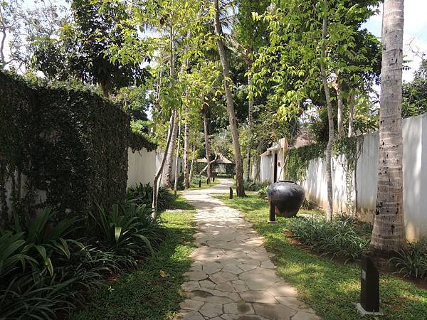 DSCN6616.JPG