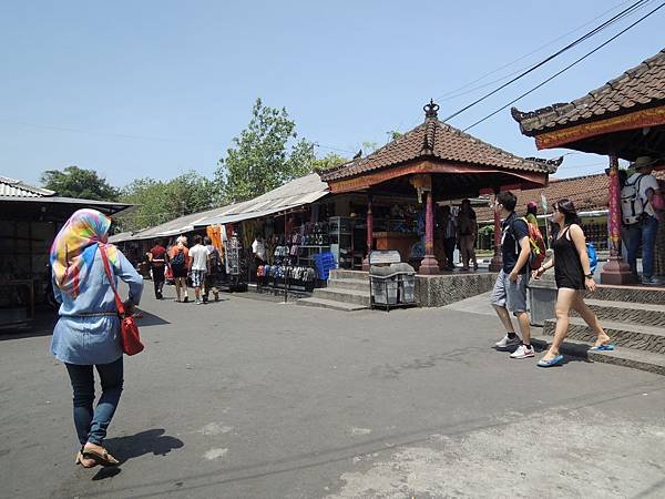 DSCN7070.JPG