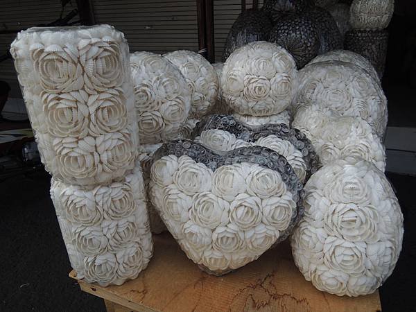DSCN6830.JPG