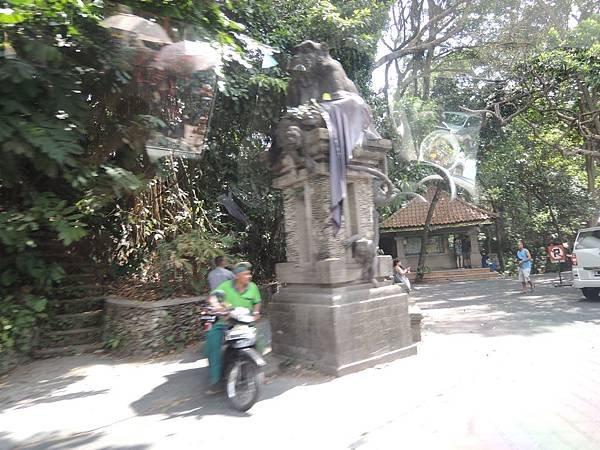 DSCN8573.JPG