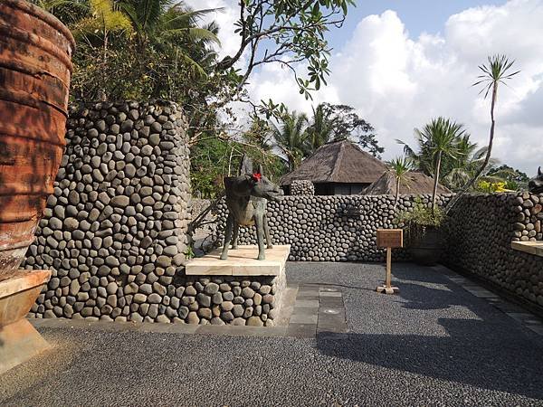 DSCN8922.JPG