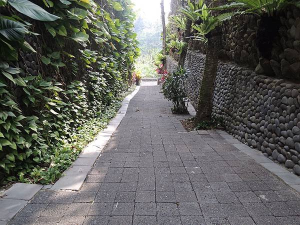 DSCN8931.JPG
