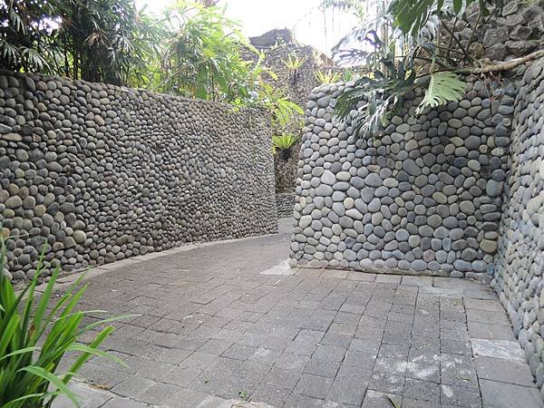 DSCN8933.JPG