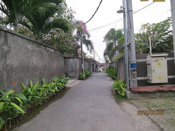 IMG_4226.JPG