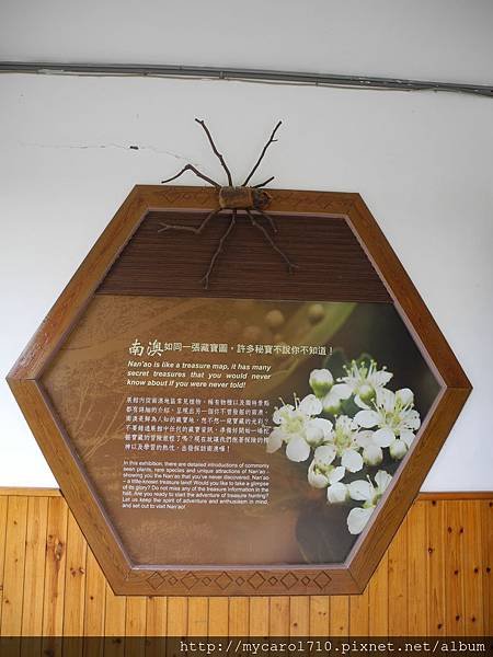 DSCN2632