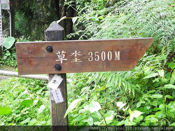 DSCN6258.JPG