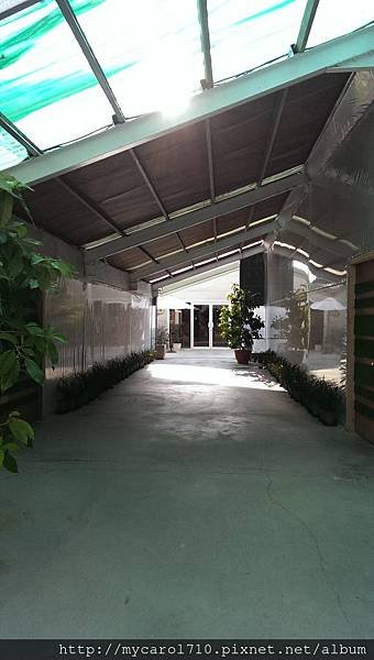IMAG2581.jpg