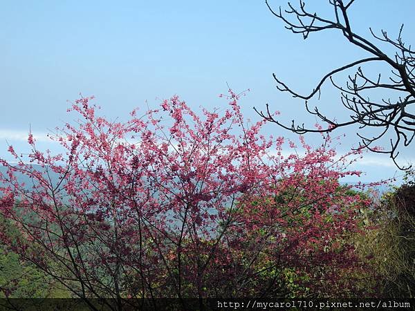 DSCN0816.JPG