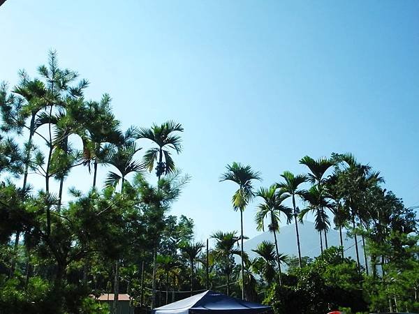 DSCN4734.JPG