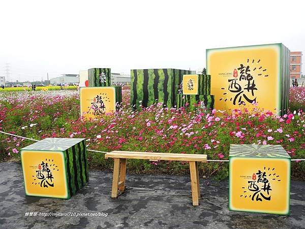 DSCN6796.JPG